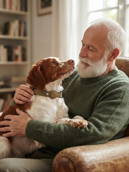 Collier GPS pour Chien Connecté : Suivi en Temps Réel et Sécurité