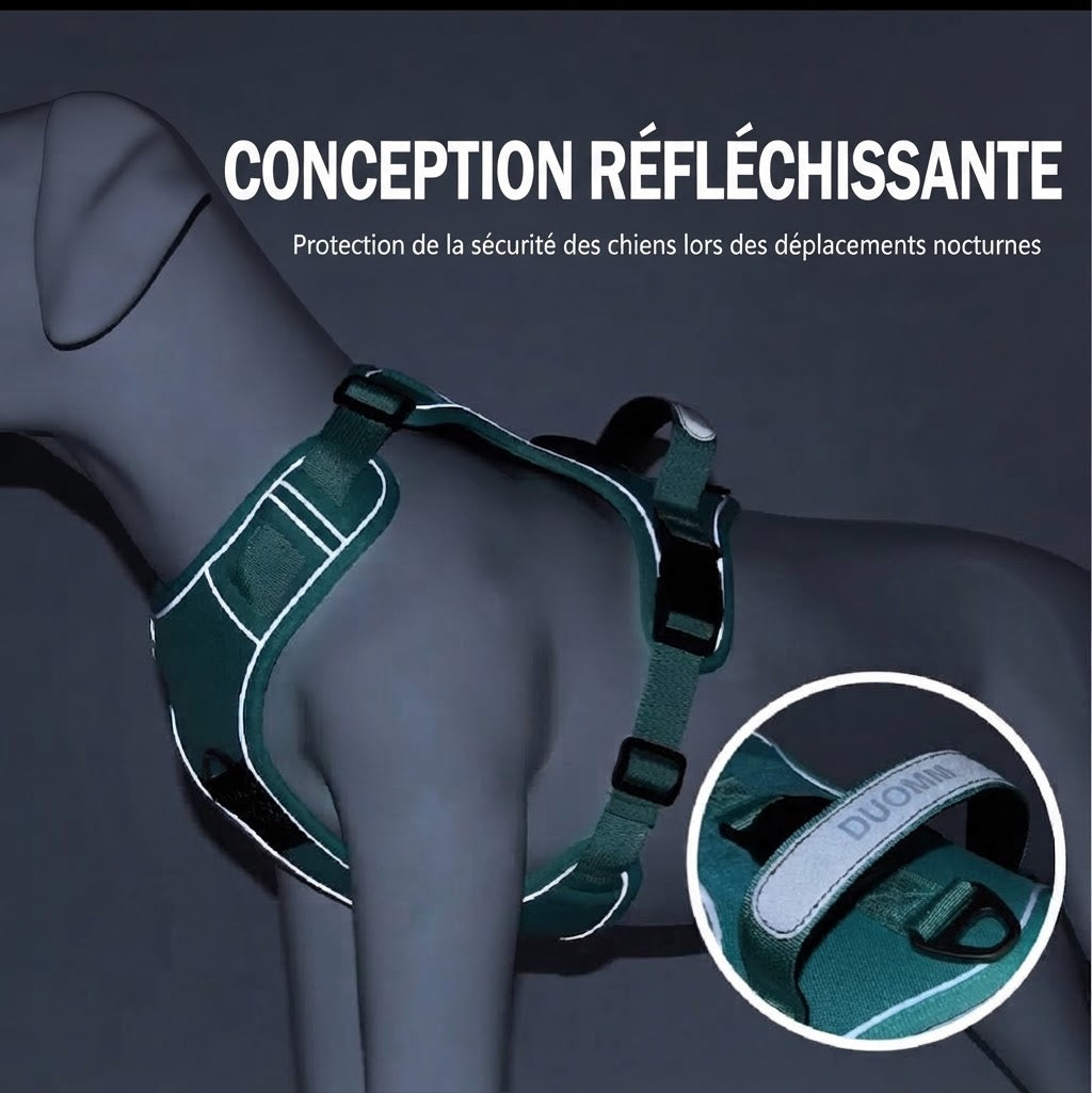 Harnais pour chien avec tracker GPS