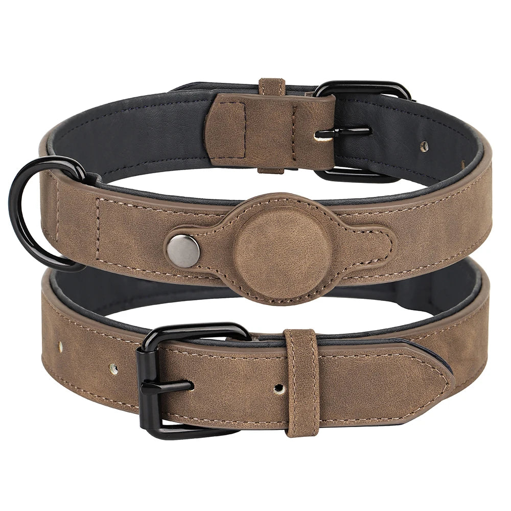 Collier GPS pour Chien Connecté : Suivi en Temps Réel et Sécurité