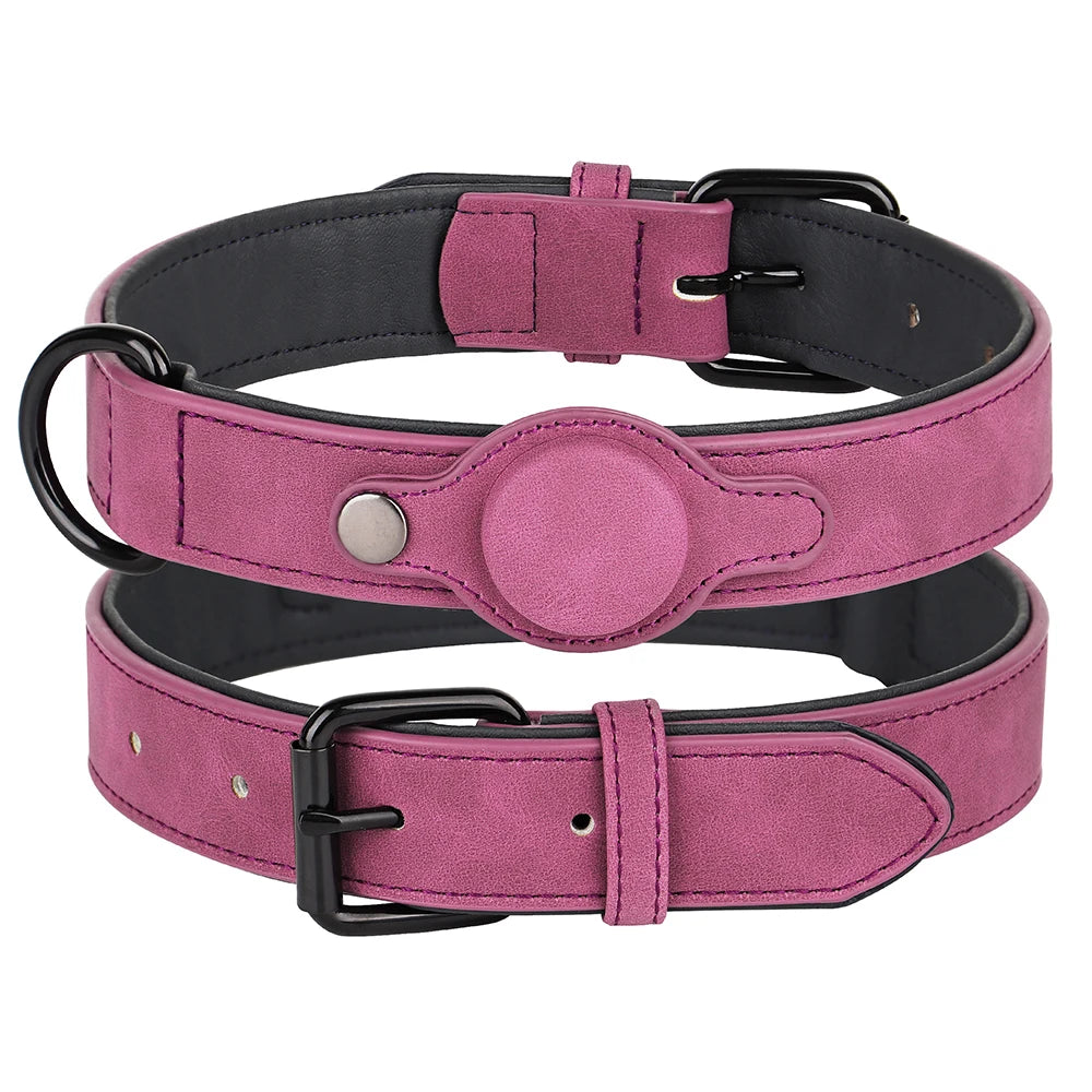 Collier GPS pour Chien Connecté : Suivi en Temps Réel et Sécurité